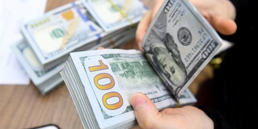 سعر الدولار اليوم الأربعاء 6-11-2024 في البنك المركزي المصري