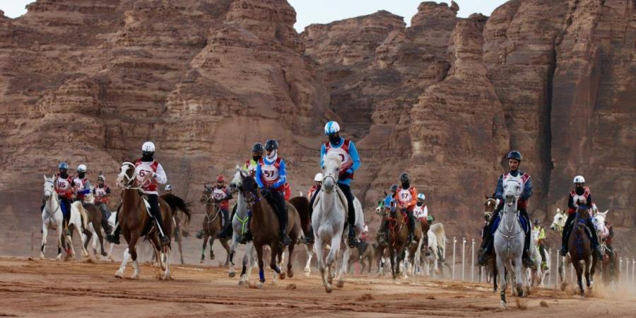 العلا تستضيف كأسي الأولمبية السعودية والشباب والناشئين للقدرة والتحمل