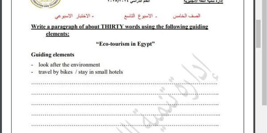 مراجعات نهائية.. أسئلة تقييم الاسبوع التاسع في اللغة الإنجليزية الصف الخامس الابتدائي