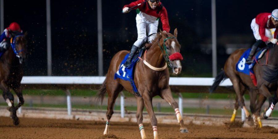 برعاية أمير منطقة الرياض.. نادي سباقات الخيل ينظم كأس الأمير محمد بن سعود الكبير