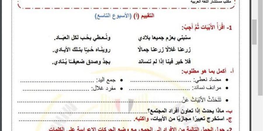 مراجعات نهائية.. أسئلة تقييم الاسبوع التاسع في اللغة العربية الصف الرابع الابتدائي