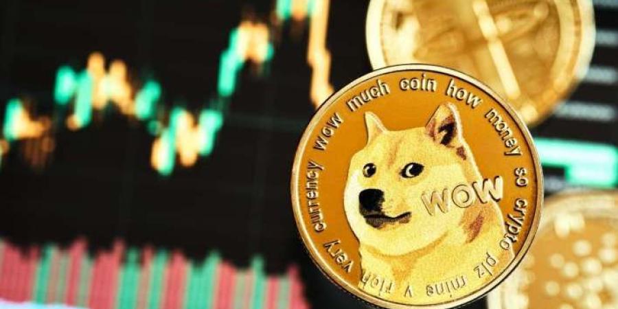 عملة Dogecoin تقفز بعد تعيين إيلون ماسك في إدارة ترامب الجديدة