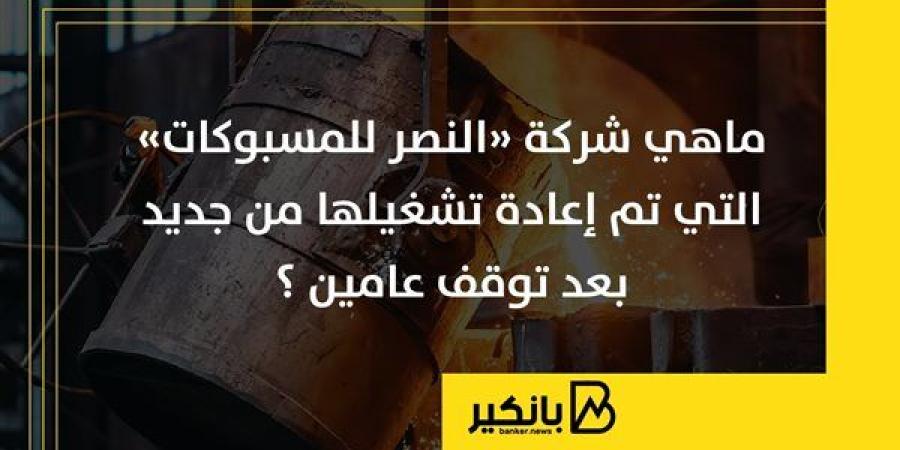 ماهي شركة «النصر للمسبوكات» التي تم إعادة تشغيلها من جديد بعد توقف عامين ؟