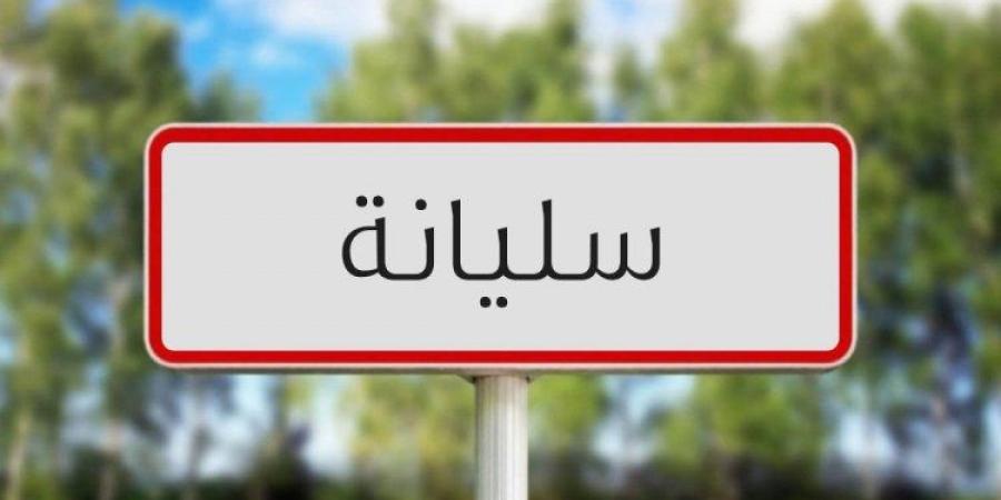 سليانة: تقدم نسبة بذر الحبوب ب19 بالمائة و88 بالمائة للأعلاف (المندوبية الجهوية للتنمية الفلاحية)