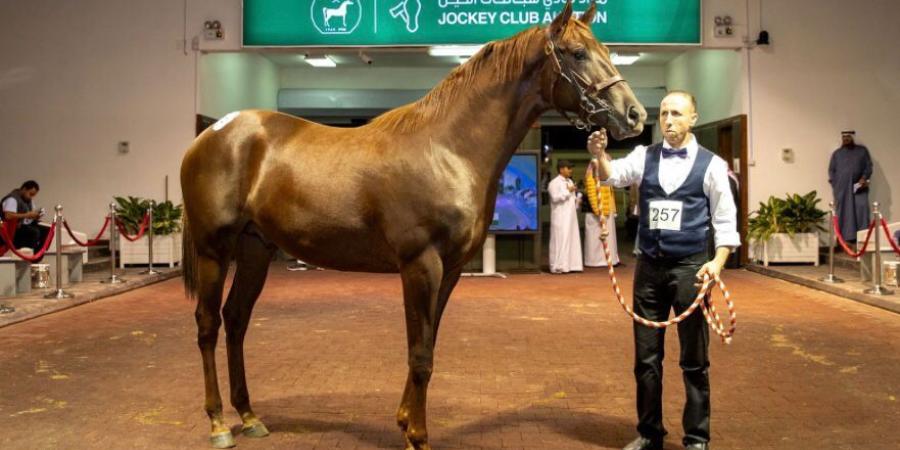 انطلاق مزاد نادي سباقات الخيل السنوي من 24 نوفمبر حتى 27 نوفمبر 2024