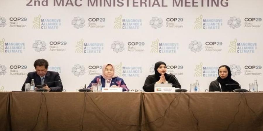 استراتيجية 2031 لتحالف القرم.. كشفت عنها الإمارات في COP29 - سبورت ليب