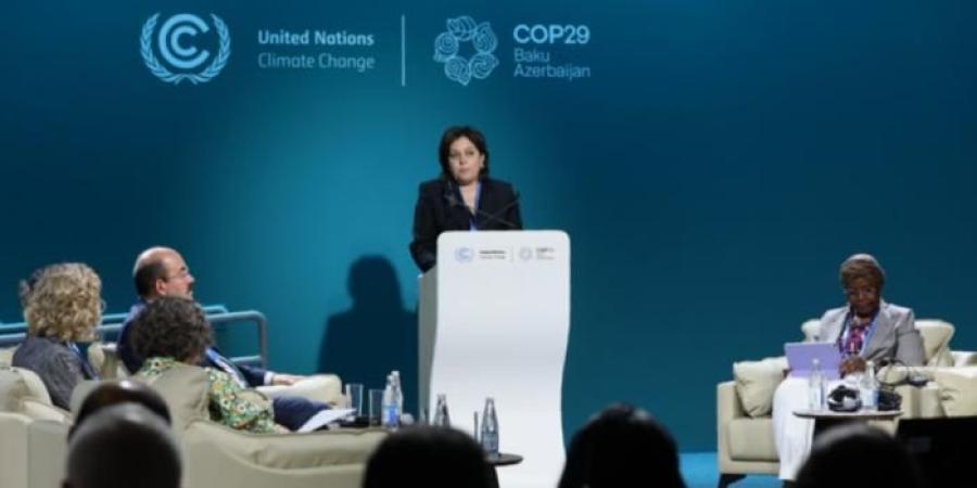 COP29.. جلسة ختامية تدعو لتوجيه التمويل المناخي لحماية الغابات - سبورت ليب