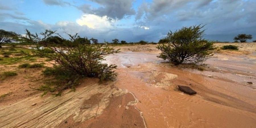 فرصة لهطول الأمطار على معظم مناطق المملكة