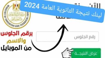 هنا.. موقع نتيجة الثانوية العامة 2024 برقم الجلوس والرابط الرسمي لإعلان النتائج 