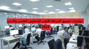 “اعرف كليتك” مؤشرات القبول بالمرحلة الأولي للكليات العلمي والأدبي 2024