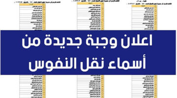 بالشرح والتفاصيل.. طريقة الاستعلام عن أسماء نقل النفوس العراق الوجبة الأخيرة عبر الموقع الرسمي 2024