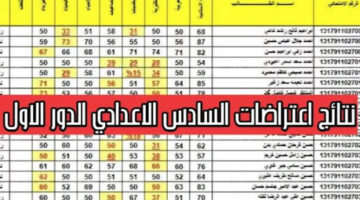 استعلم عنها مجاناً.. رابط الحصول علي نتائج اعتراضات السادس الاعدادي في ثواني 2024