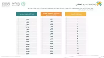 الوزارة المختصة توضح: خطوات الاستعلام عن أهلية الضمان الاجتماعى المطور 1446 وأهم الشروط المطلوبة!