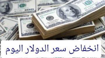 بعد الارتفاع..انخفاض سعر الدولار مقابل الجنيه اليوم الثلاثاء 6 أغسطس تعرف التفاصيل 