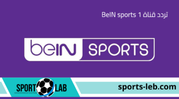 شاهد الآن.. تردد قناة BeIN sports 1 لمشاهدة مباراة توتنهام وليستر سيتي بث مباشر اليوم بالدوري الإنجليزي