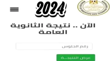 استعلم الان رابط نتيجة الثانوية العامة 2024 الدور الأول برقم الجلوس تحميل الكشف ميديافير