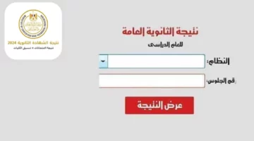 أخيرا ظهرت.. الاستعلام عن نتائج الثانوية العامة 2024 بعموم المحافظات المصرية بالاسم ورقم الجلوس عبر الموقع الرسمي للتربية