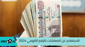 هنا.. رابط وخطوات الاستعلام عن المعاشات بالرقم القومي “سبتمبر 2024” عبر موقع هيئة التأمينات الاجتماعية