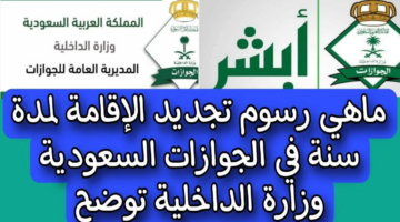 المديرية العامة للجوازات.. تحدد الرسوم الجديدة لتجديد الإقامة لمدة سنة في المملكة العربية السعودية 1446