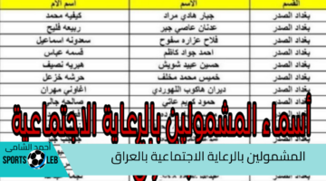 عبر منصة مظلتى … الاستعلام عن المشمولين بالرعاية الاجتماعية بالعراق 2024 خطوة بخطوة