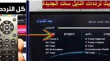 جودة HD.. اضبط تردد قناة الجزائرية السادسة على الأقمار الصناعية وتابع كل مباريات أولمبياد باريس 2024