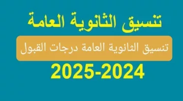 استخرج كليتك الآن بمجموعك .. رابط التسجيل في تنسيق الثانوية العامة 2024 للمرحلة الاولى والثانية لكل المحافظات المصرية