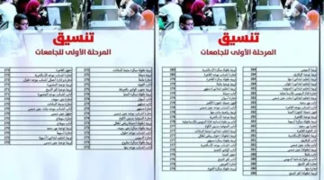 هتدخل ايه.. تنسيق الكليات 2024 علمي علوم بالنسبة المئوية ومؤشرات القبول بالجامعات والمعاهد