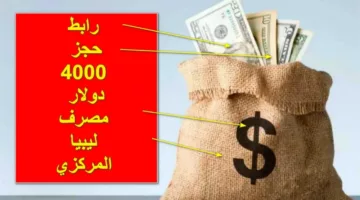 “من هنـــا”  كيفية التقديم لحجز مصرف ليبيا المركزي 4000 دولار| إليك الرابط fcms.cbl.gov.ly