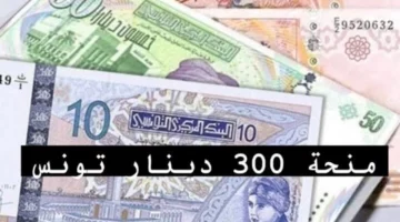 وصلت لكام .. حقيقة زيادة منحة تونس 300 دينار وزارة الشؤون الاجتماعية توضح الأمر