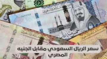 بكام سعر الريال السعودى مقابل الجنيه المصري اليوم الجمعة 16/8/2024 في بنوك مصر.. تعرف الآن