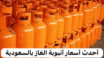 21.85 ريال سعودي.. شركة أرامكو السعودية تحدد أسعار أسطوانات الغاز بعد الزيادة الجديدة