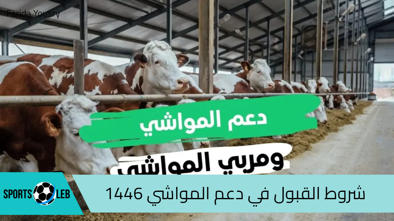 شروط القبول في دعم المواشي 1446 بالسعودية وخطوات التسجيل في دعم ريف reef.gov.sa