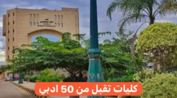 معاهد كليات تقبل من 50 ادبي في مصر.. وما هو الحد الأدنى للمرحلة الأولى