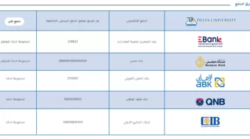 تعرف على مصاريف جامعة الدلتا للعام الدراسي 2025/2024.. لجميع الكليات