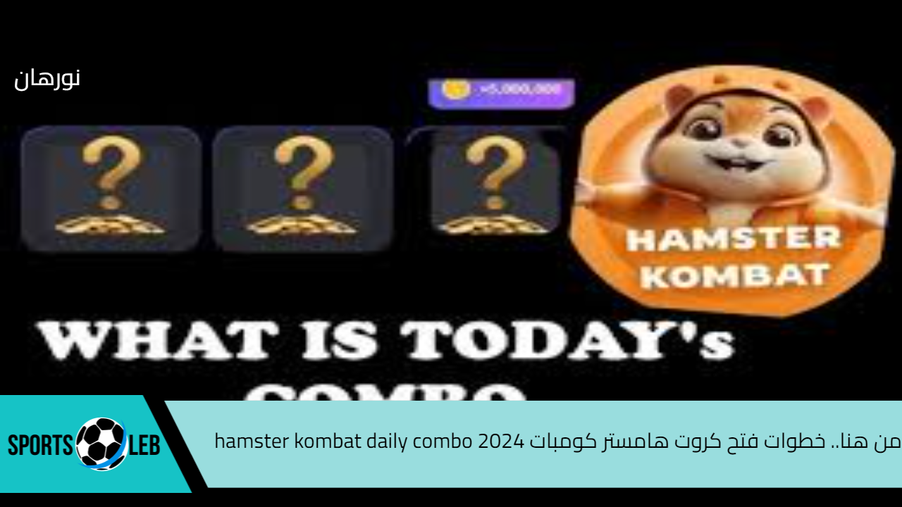 من هنا.. خطوات فتح كروت هامستر كومبات hamster kombat daily combo 2024 عبر تيلجرام