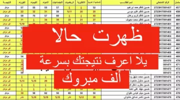 موقع نتائجنا نتائج السادس الابتدائي الدور الثاني 2024 “ملازمنا” برابط مباشر results.mlazemna.com