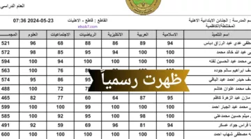 تم الرفع ✔️.. نتائج السادس الابتدائي الدور الثاني 2024 العراق عبر موقع وزارة التربية العراقية