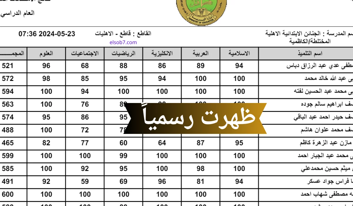 تم الرفع ✔️.. نتائج السادس الابتدائي الدور الثاني 2024 العراق عبر موقع وزارة التربية العراقية