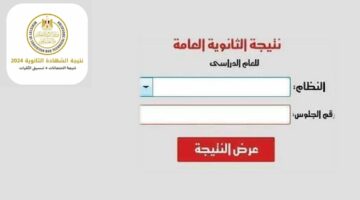 رابط شغال .. نتيجة الثانوية العامة 2024 برقم الجلوس شعبة العلمي والأدبي