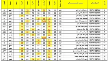 “مبروك” رابط نتائج الثالث متوسط الدور الثاني 2024 بالرقم الإمتحاني والاسم كل المحافظات