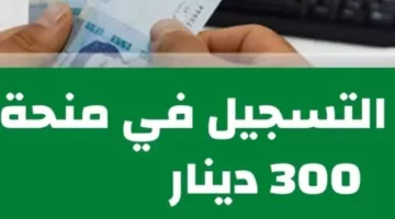 لمحدودي الدخل.. خطوات التقديم على منحة 300 دينار تونس 2024 وأهم الشروط المطلوبة