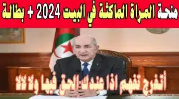 سجلي وهتستفيدي.. رابط التسجيل فى منحه المراه الماكثه بالجزائر 2024 عبر الوكالة الوطنية للتشغيل anem.dz