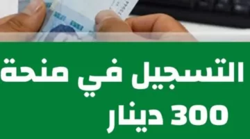 سجل الآن.. رابط التسجيل في منحة تونس 300 دينار 2024 عبر موقع وزارة الشئون الاجتماعية التونسية والشروط المطلوبة